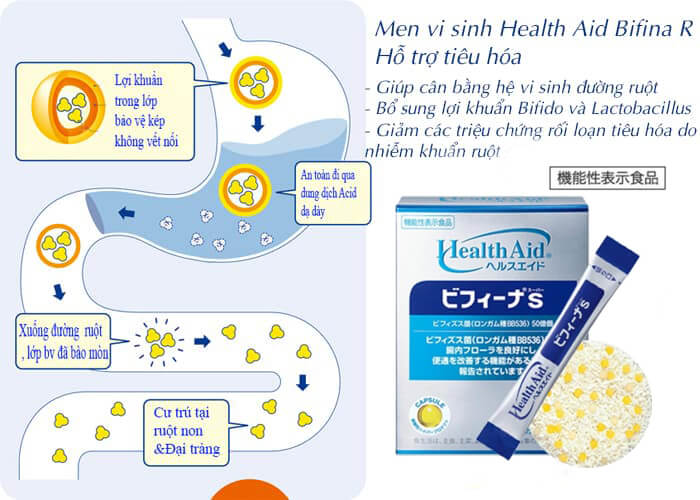 Cong dung men vi sinh bifina