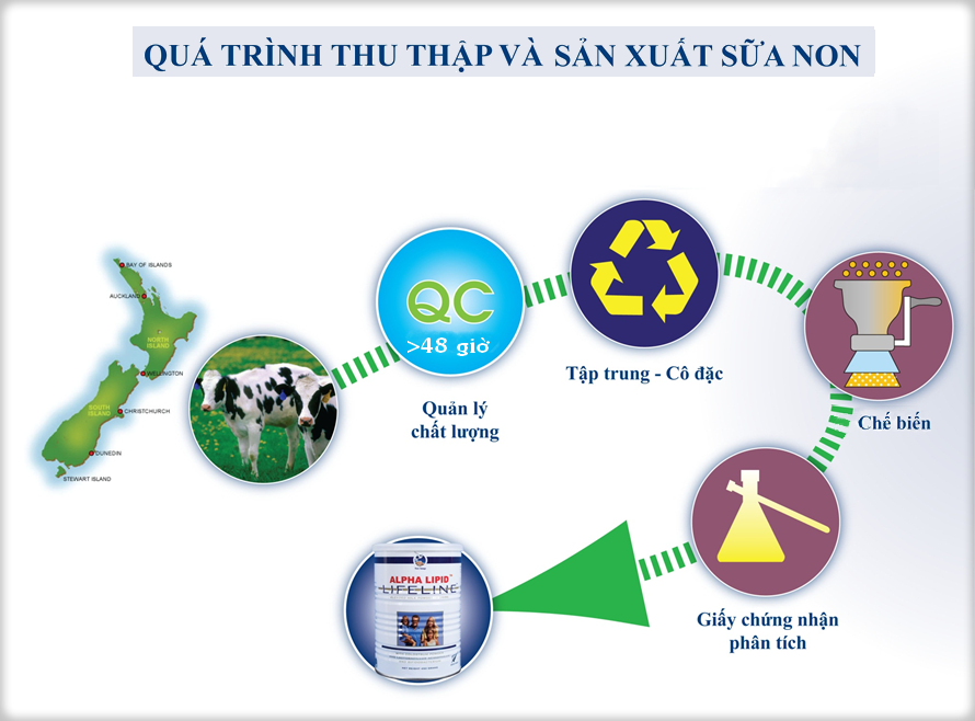 Quy trình sản xuất sữa non alpha lipid
