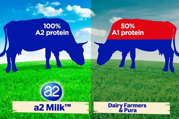 sự khác nhau giữa sữa bột a2 và sữa thường