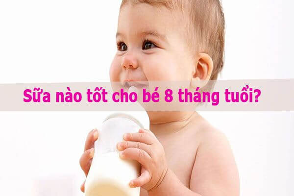 sữa nào tốt cho bé 8 tháng tuổi